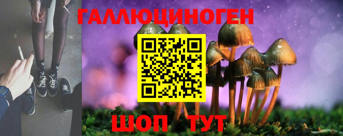 Искитим  купить  сайты  Вход с VPN  Галлюциногенные грибы мухоморы 